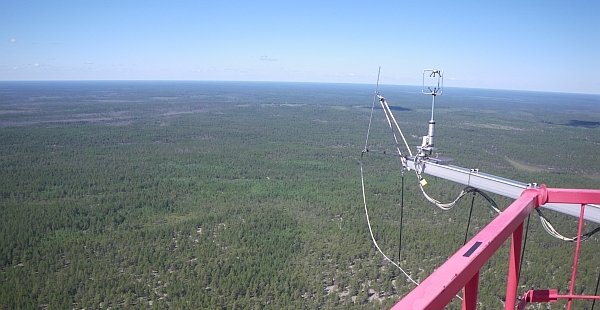 View from the top of the tower onto the Siberian taiga (Photo: Karl Kübler, June 2015)