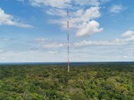 A tall, red-and-white steel tower stands prominently in the center of a lush, expansive forest, reaching into a sky filled with scattered white clouds, suggesting a serene, natural environment.