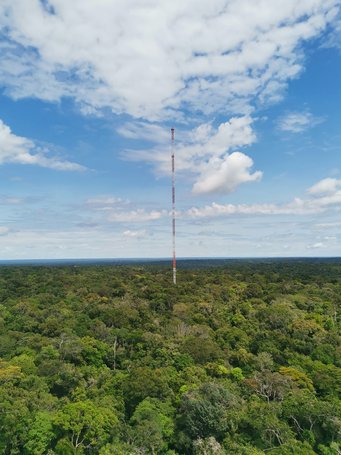 A tall, red-and-white steel tower stands prominently in the center of a lush, expansive forest, reaching into a sky filled with scattered white clouds, suggesting a serene, natural environment.